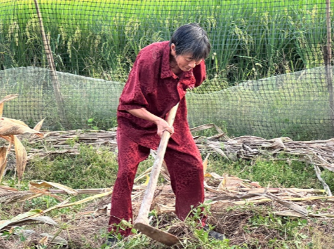 衡阳独臂老人替去世的儿子还清欠款，获评全国“诚信之星”｜湖南日报头版