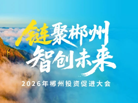 链聚郴州｜让郴州从“有色之都”走向“材料高地”——中国有色金属工业协会党委常委、副会长兼秘书长段德炳  