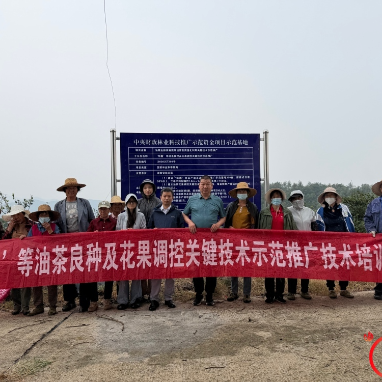 中南林科大专家技术培训 赋能澧县油茶产业发展