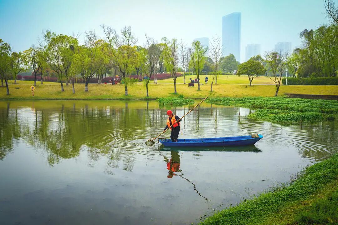 湖南真美·一周精选 ㉗丨一城秋色,半城花开