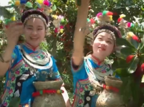 瞰见·怀化 | 靖州：5年蝶变跃升
