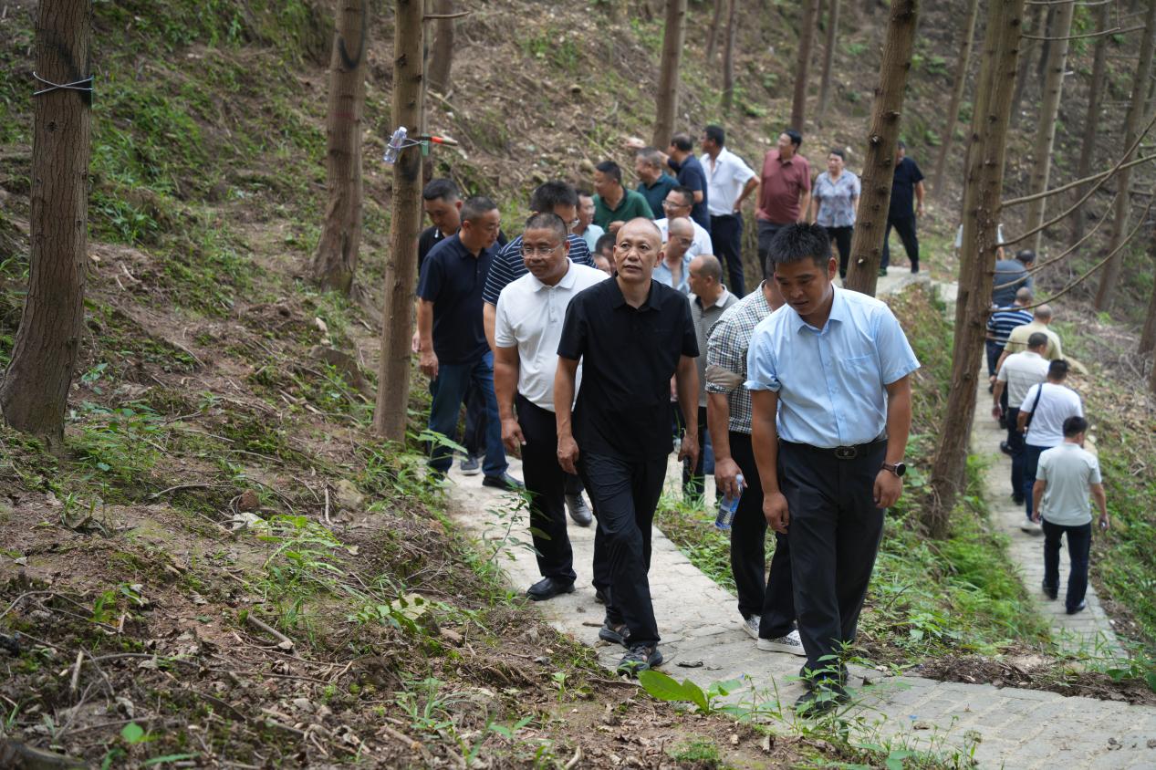 邵阳市林业系统观摩学习林下经济发展经验激活绿水青山新动能