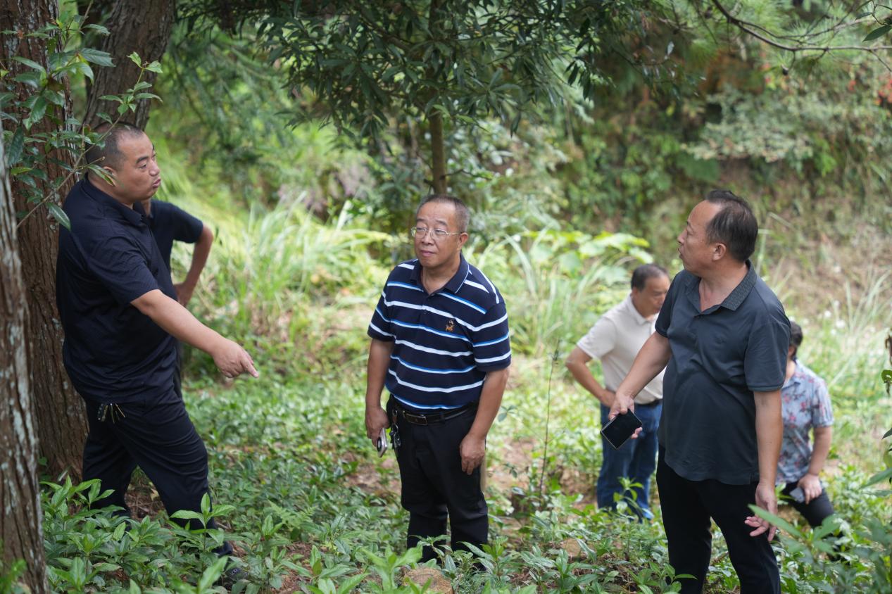 邵阳市林业系统观摩学习林下经济发展经验激活绿水青山新动能