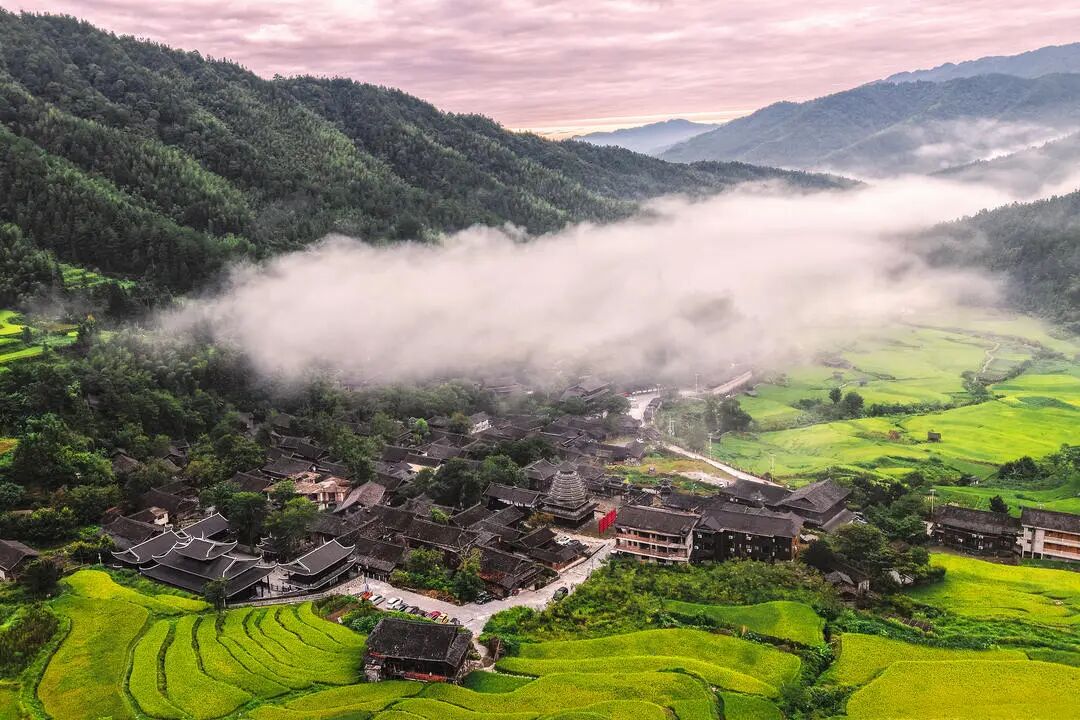 湖南真美·一周精选 ㉗丨一城秋色,半城花开