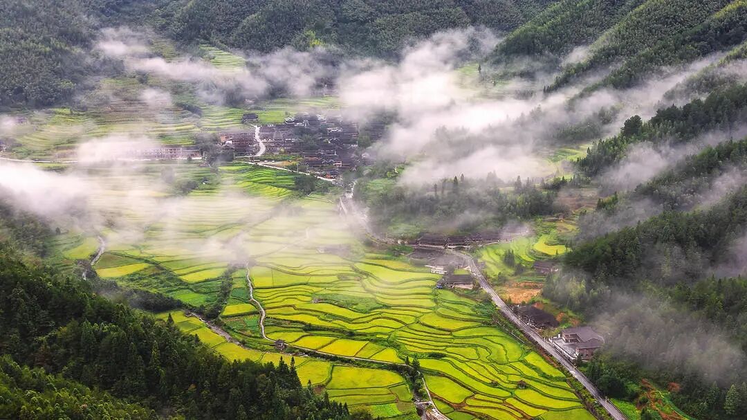湖南真美·一周精选 ㉗丨一城秋色,半城花开