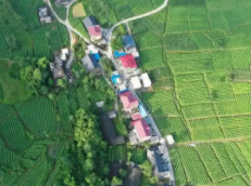 稳定脱贫幸福来——龙山县大安乡翻身村见闻@湖南日报要闻