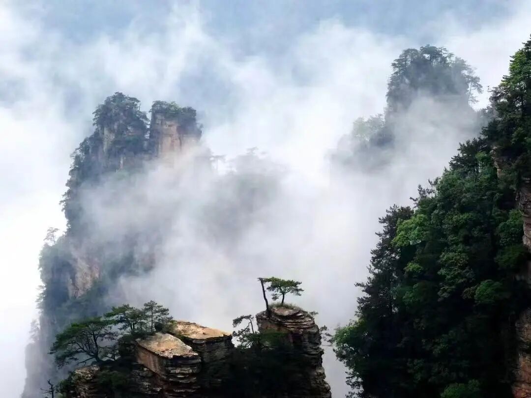 湖南真美·一周精选 ㉗丨一城秋色,半城花开