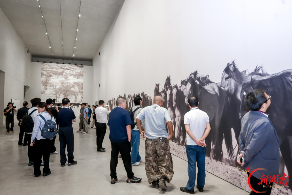 谢子龙影像艺术馆迎来九周年,《马·相》全国首展免费开放