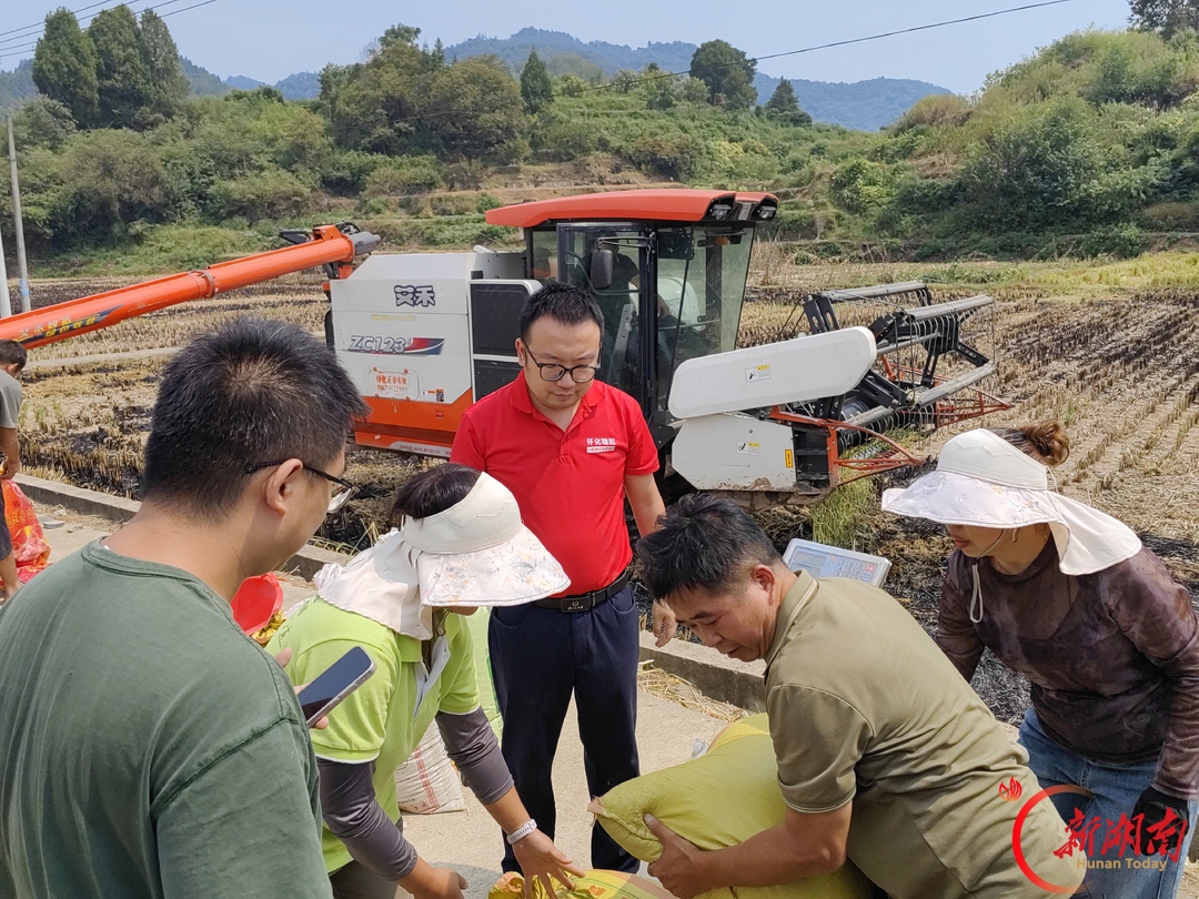 产量不达标  收益有保障——怀化创新水稻种植收入保险