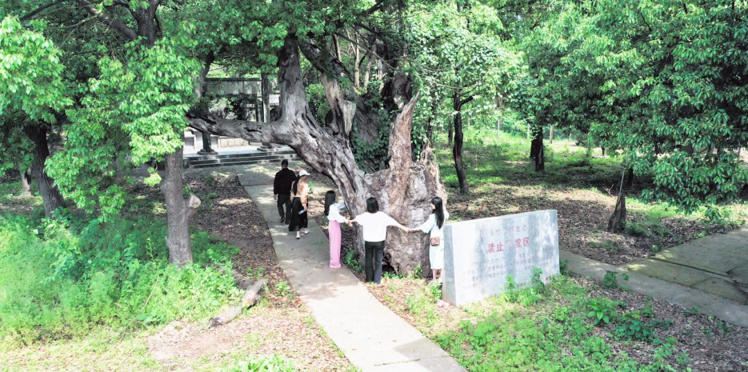 长株潭“跳岛”游，这份登岛指南请收好