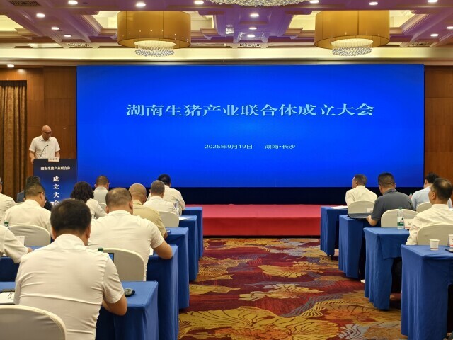 生猪大省如何变强省？湖南这个联合体揭牌