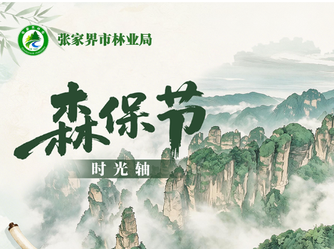 森保节特辑丨一图读懂森保节
