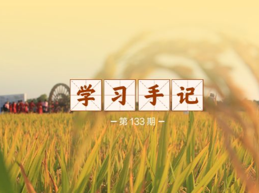 学习手记丨答好保障粮食安全这个“永恒课题”