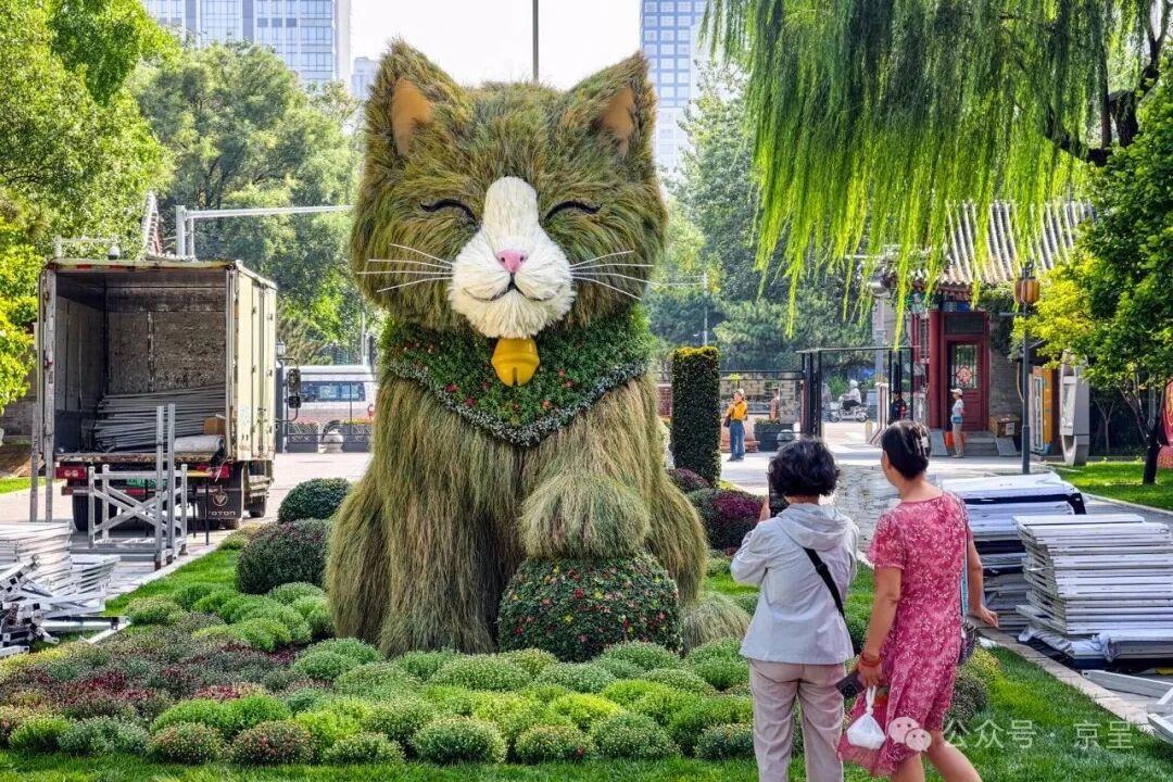 软萌“草猫”亮相日坛公园,金秋游园再添新景