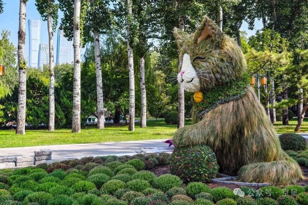 软萌“草猫”亮相日坛公园,金秋游园再添新景