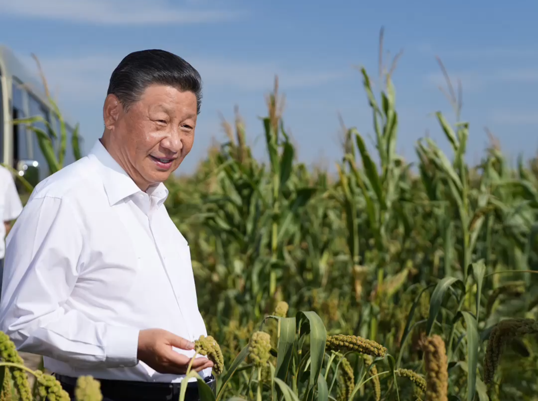 学习新语｜跟着总书记一起话丰收