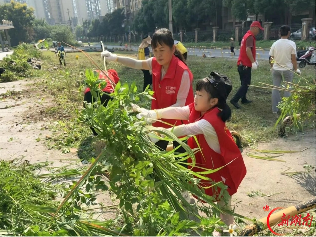 黎托街道托溪社区联动攻坚阳泰路环境擦亮美丽新雨花民生底色