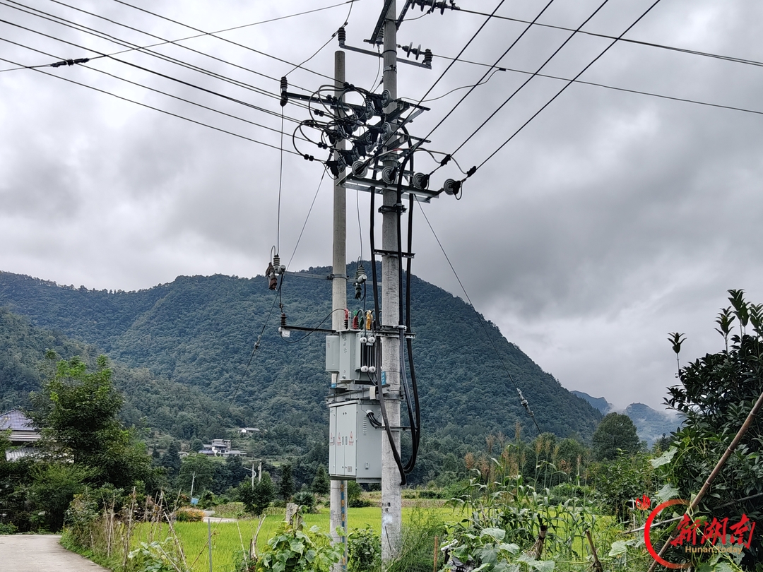 国网桑植县供电公司：电力赋能助农 护航金秋丰收