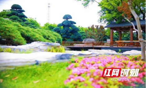 和美“湘”村去哪游双节篇|长株潭・绿心三城田园慢游之旅