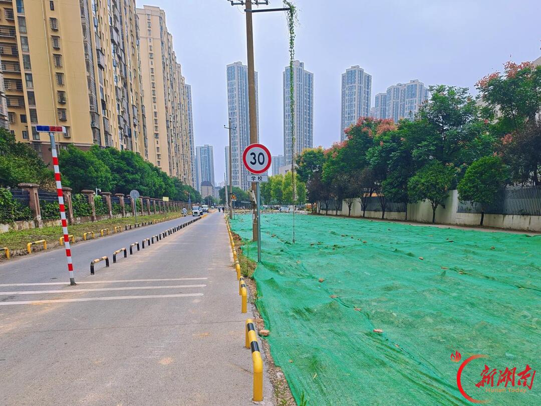 黎托街道托溪社区联动攻坚阳泰路环境擦亮美丽新雨花民生底色