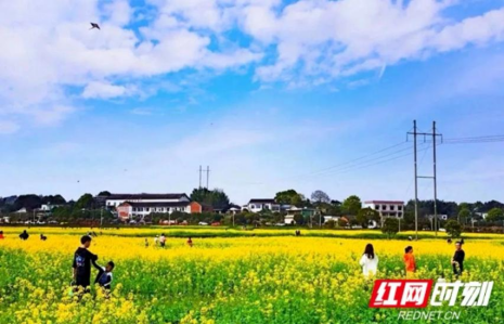 和美“湘”村去哪游双节篇|长株潭・绿心三城田园慢游之旅