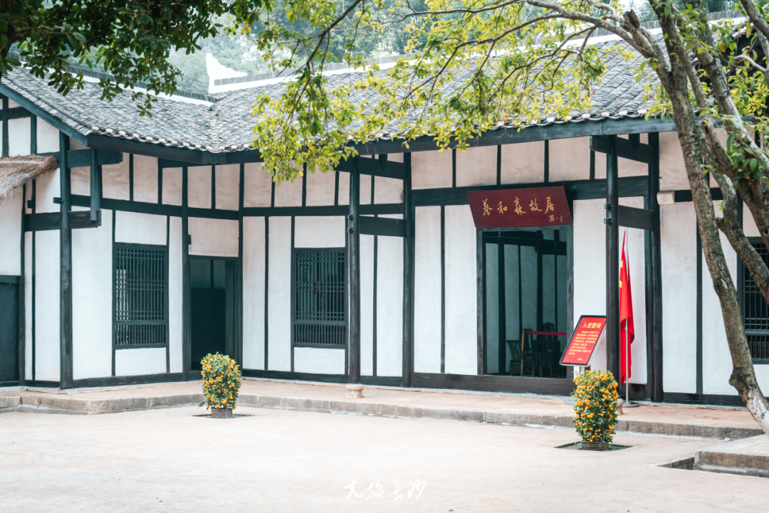 湘江“洲”到好去处丨柳叶洲,橘洲旁的城芯绿肺