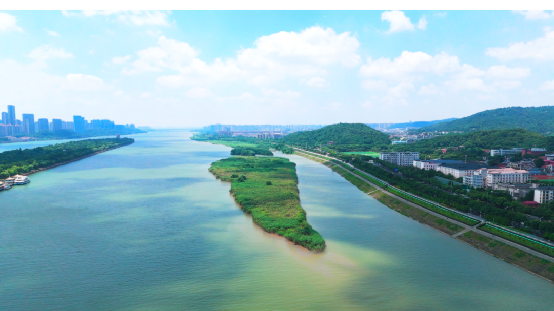 湘江“洲”到好去处丨柳叶洲,橘洲旁的城芯绿肺