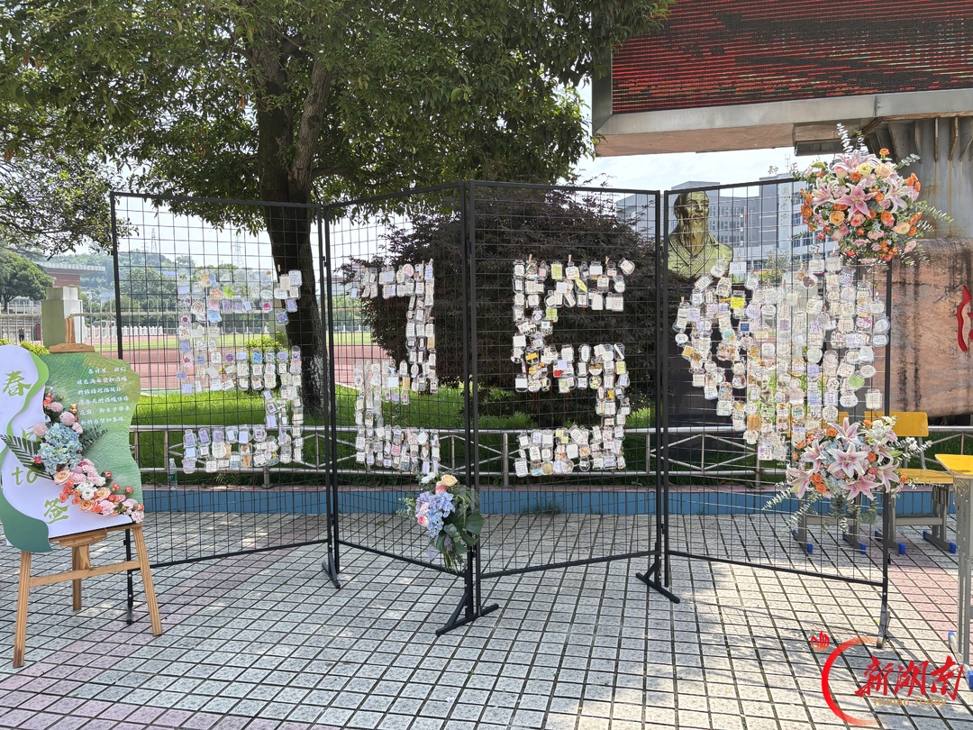 以心育心润桃李 向阳而行助成长