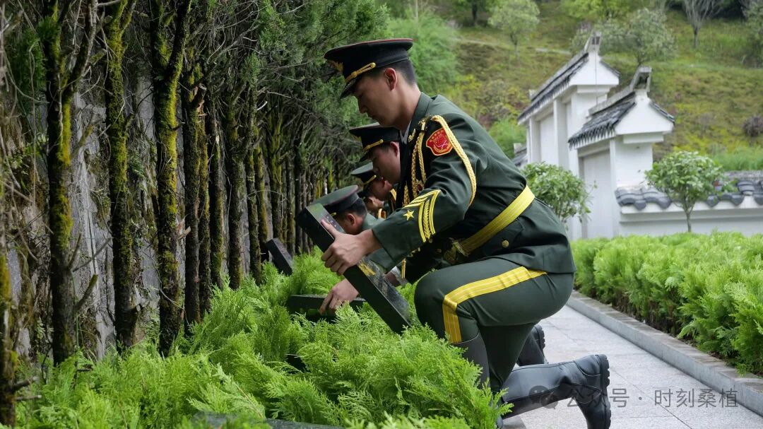 桑植县举行2026年烈士纪念日烈士公祭暨散葬烈士集中迁葬仪式