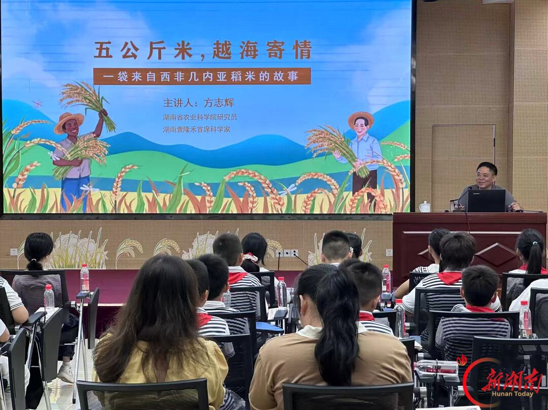 见字如面！60余件袁隆平珍贵手稿亮相隆平水稻博物馆，3件一级文物首展