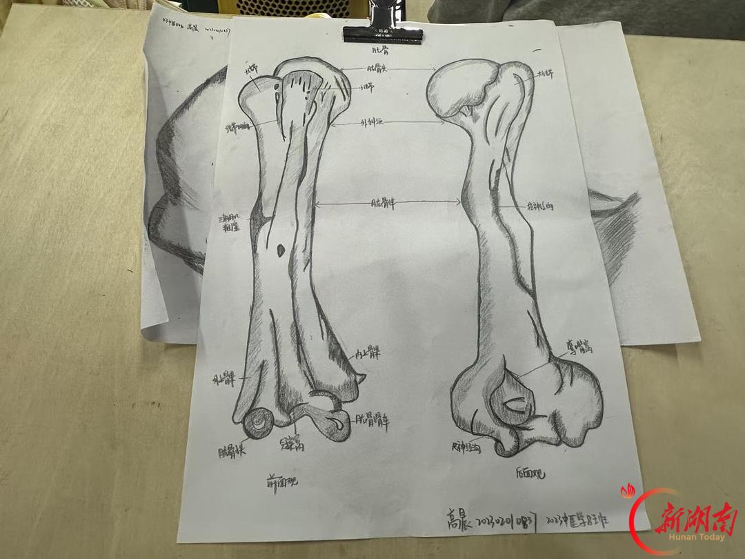 医学生·开学季｜校园暖心日常（29）温暖日常，医路深耕