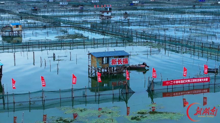 今秋晚上市价亲民,“头担鲜蟹”宴星城