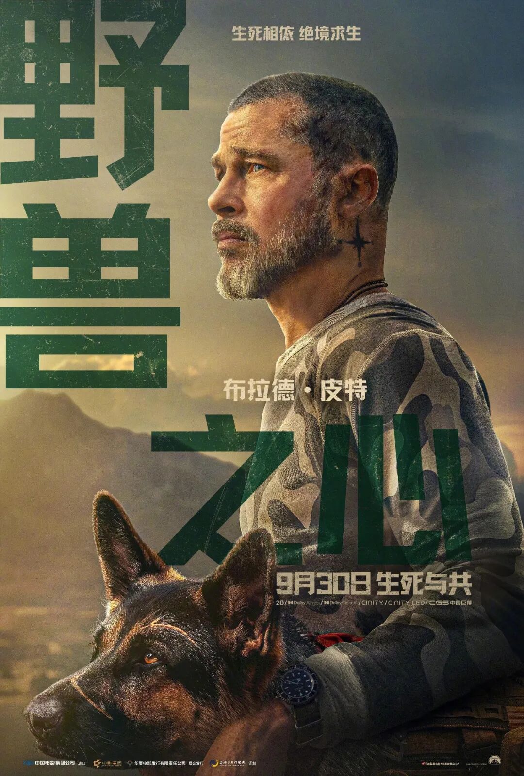 国庆档超10部影片定档，我们影院见！