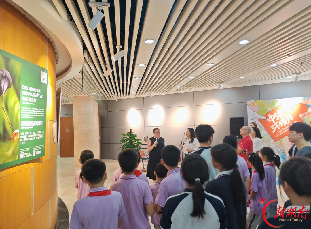 蜜蜂懂数学、海豚会用工具,《动物能有多聪明?》展览在长沙图书馆开展