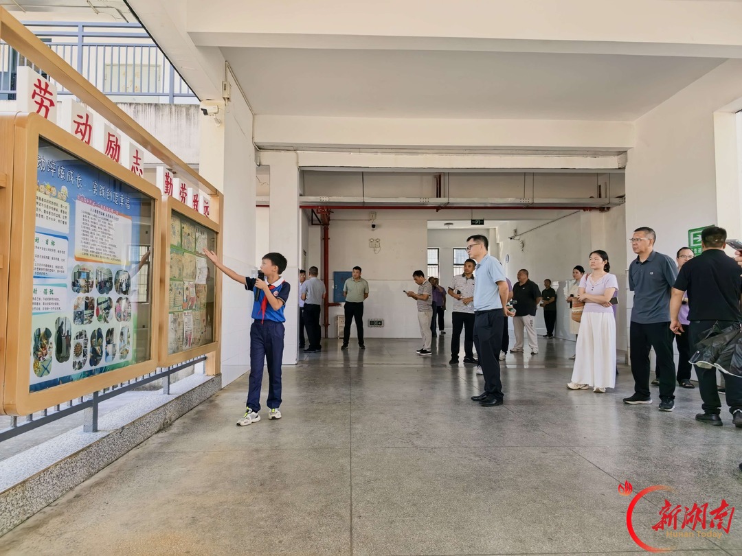 宜章县：优质均衡“净菜式”供给 校际互鉴跑出教育创建加速度