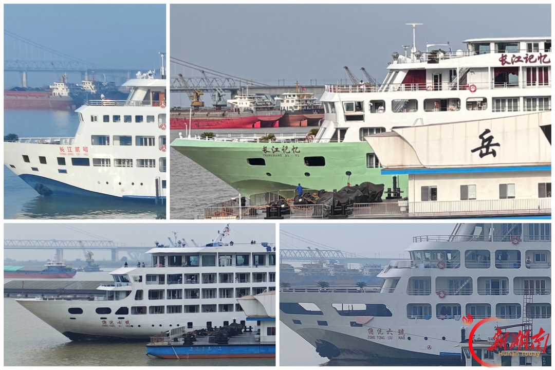 长江游轮组团登陆岳阳!国庆 7 天 9 船到港,3000 名中外游客开启旅程
