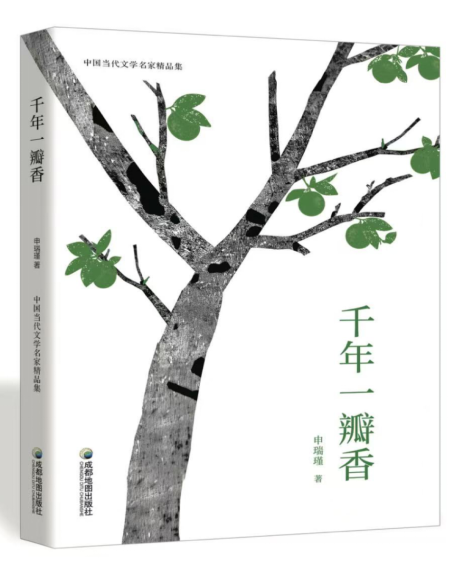 赵慧卉：山海走成归途，文字泡出回甘——申瑞瑾散文印象