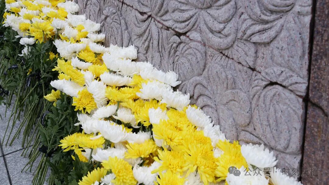 桑植县举行2026年烈士纪念日烈士公祭暨散葬烈士集中迁葬仪式