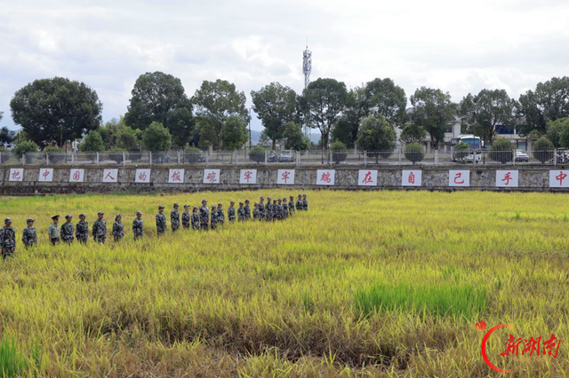 怀化职院智能制造学院组织新生赴安江农校纪念园开展思政研学活动