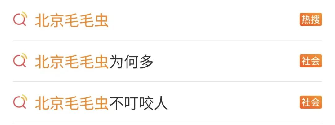 这种毛毛虫无毒无害,但这类人千万别碰!发现可打12345