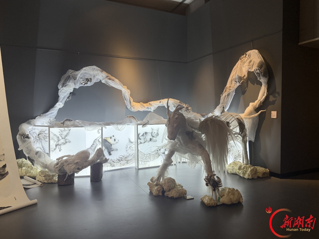 太惊艳！全国少儿美术作品展亮相湘潭市博物馆