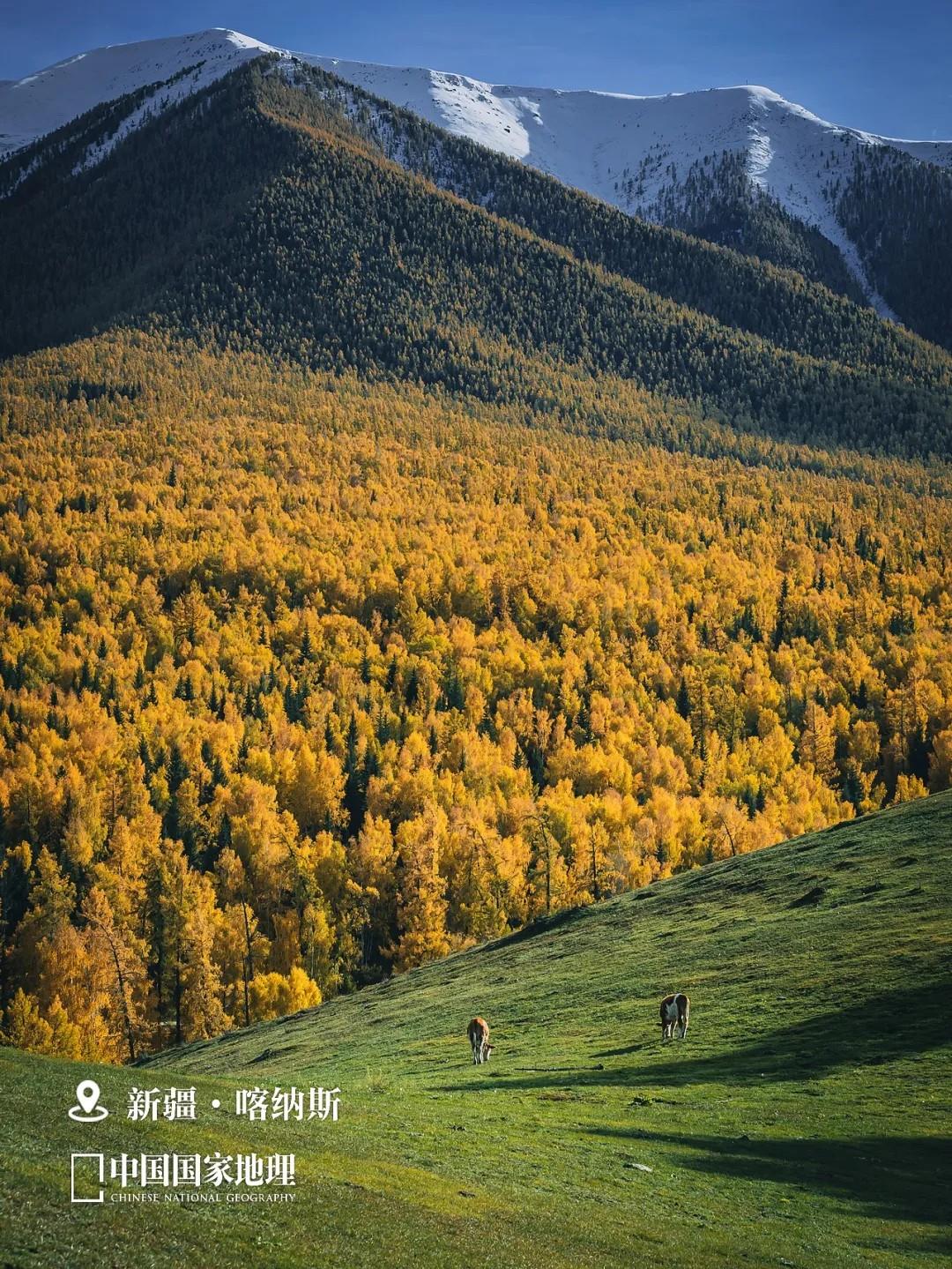 9张图,领略中国地理版图之最!