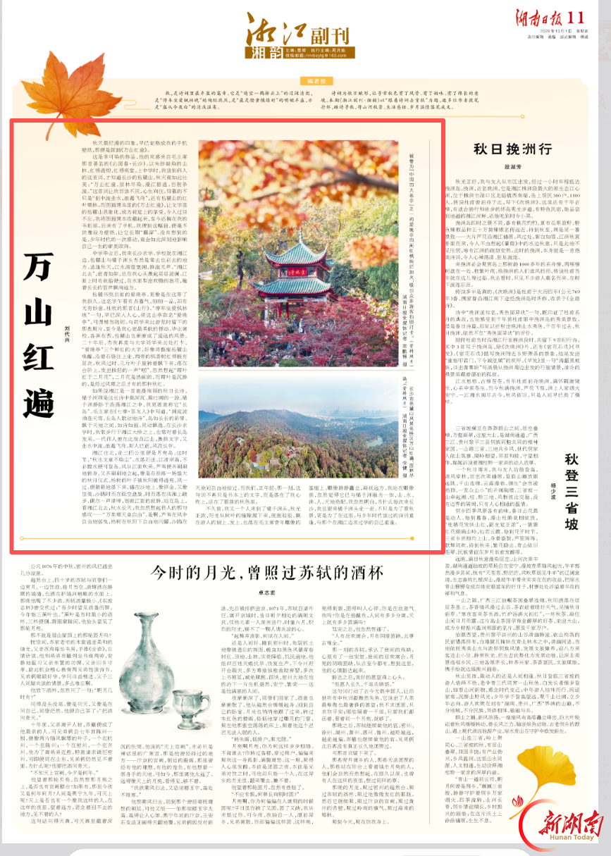 万山红遍|跟着诗词去赏秋·湘江副刊·湘韵