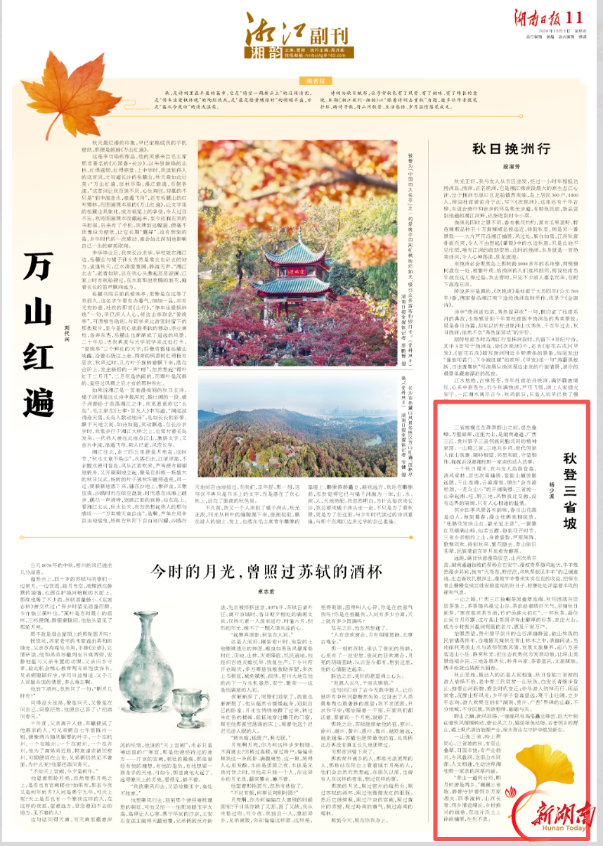 秋登三省坡|跟着诗词去赏秋·湘江副刊·湘韵