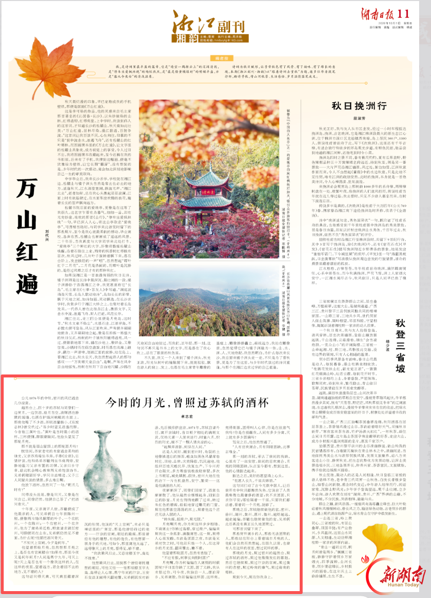 今时的月光,曾照过苏轼的酒杯|跟着诗词去赏秋·湘江副刊·湘韵
