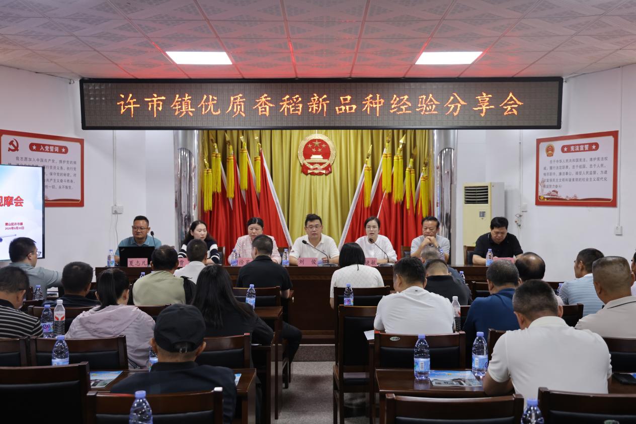 稻浪翻金迎丰收!许市镇开展香夏两优8773优质稻现场观摩会