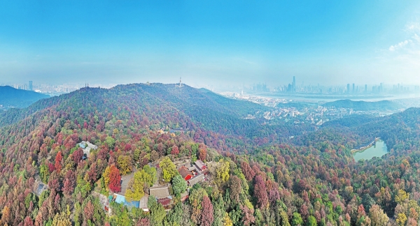 万山红遍|跟着诗词去赏秋·湘江副刊·湘韵