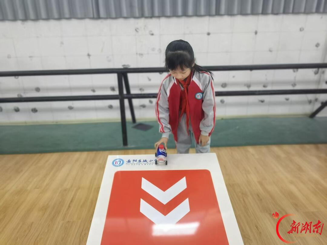 岳阳市岳阳楼区东城小学开展科学技能大赛