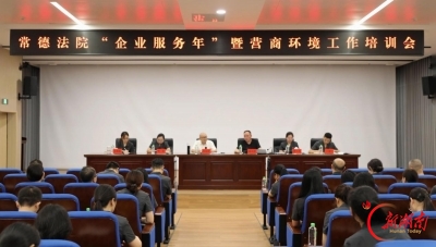 以“公正与效率”作答“企业服务年” 常德法院系统护航民营经济高质量发展纪实