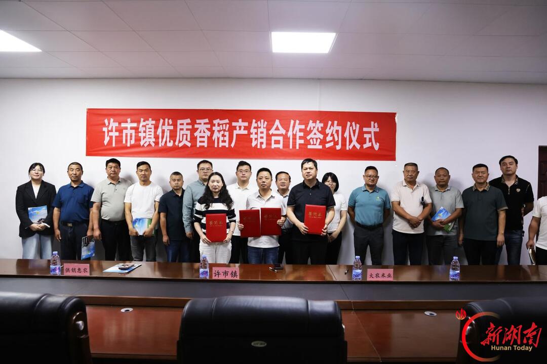 稻浪翻金迎丰收！岳阳市君山区许市镇开展香夏两优8773优质稻现场观摩会